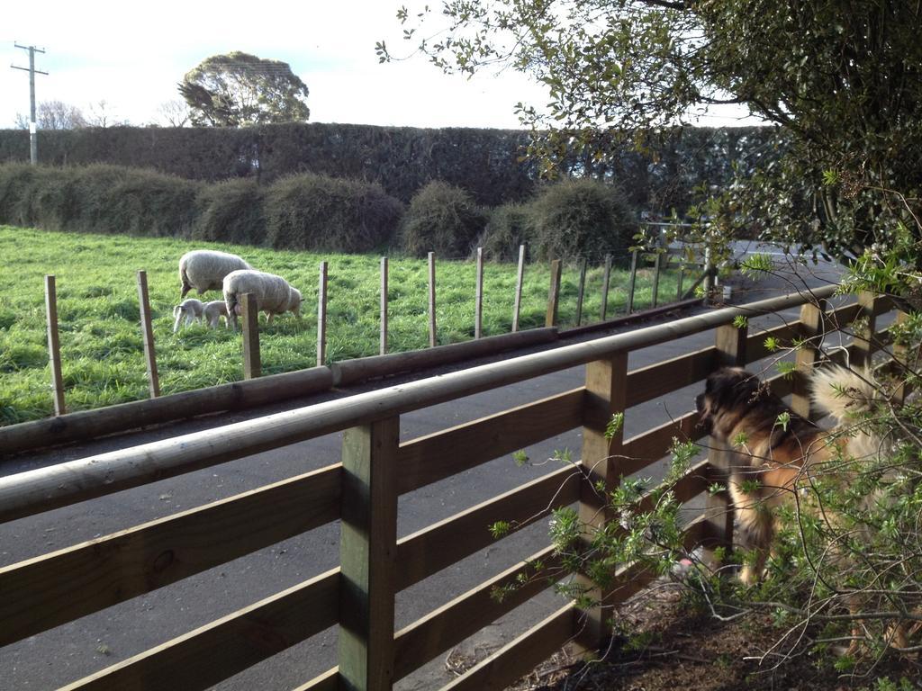 Bluebell Lodge And Cottage Hastings Luaran gambar