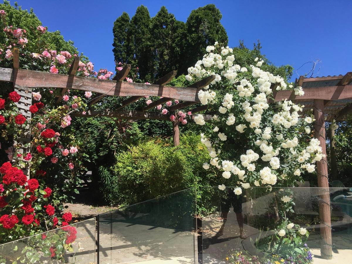 Bluebell Lodge And Cottage Hastings Luaran gambar